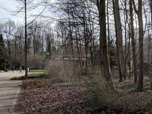 The building through the trees