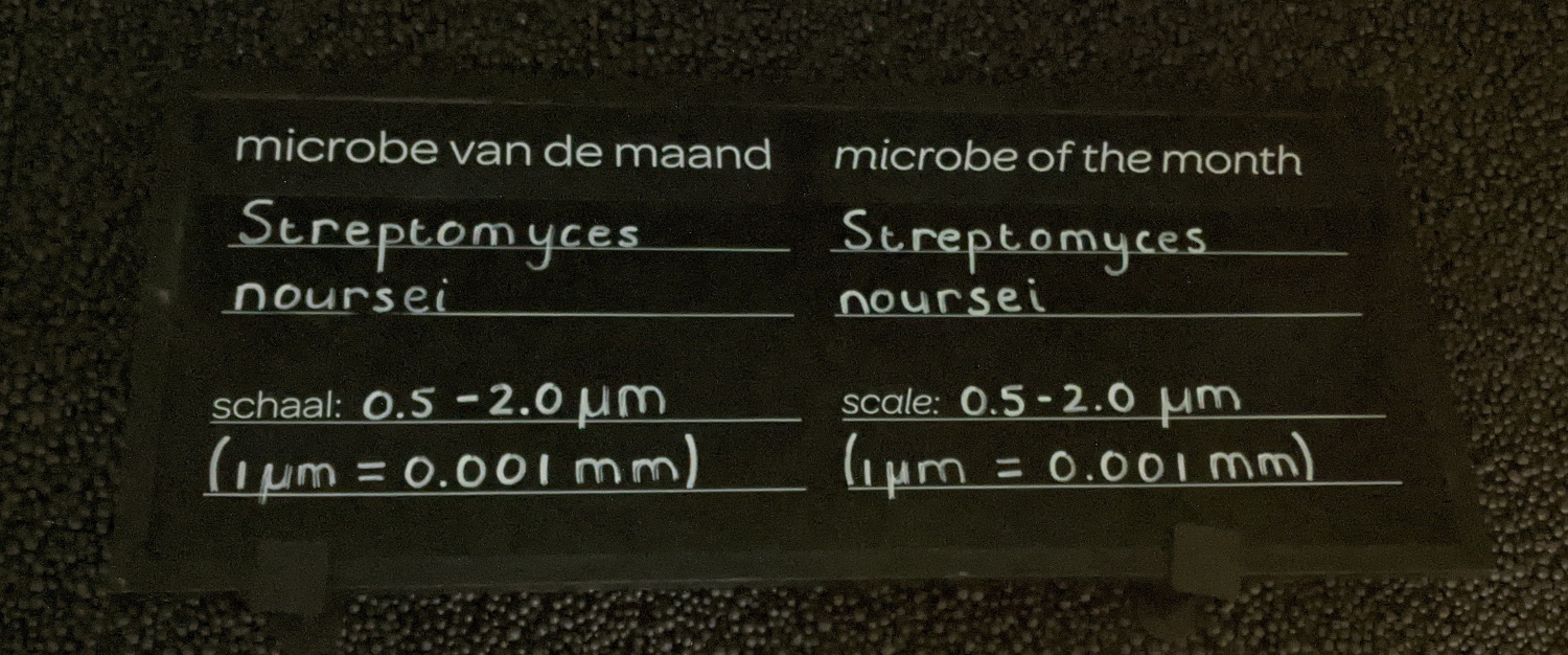 A sign explaining the microbe of the month