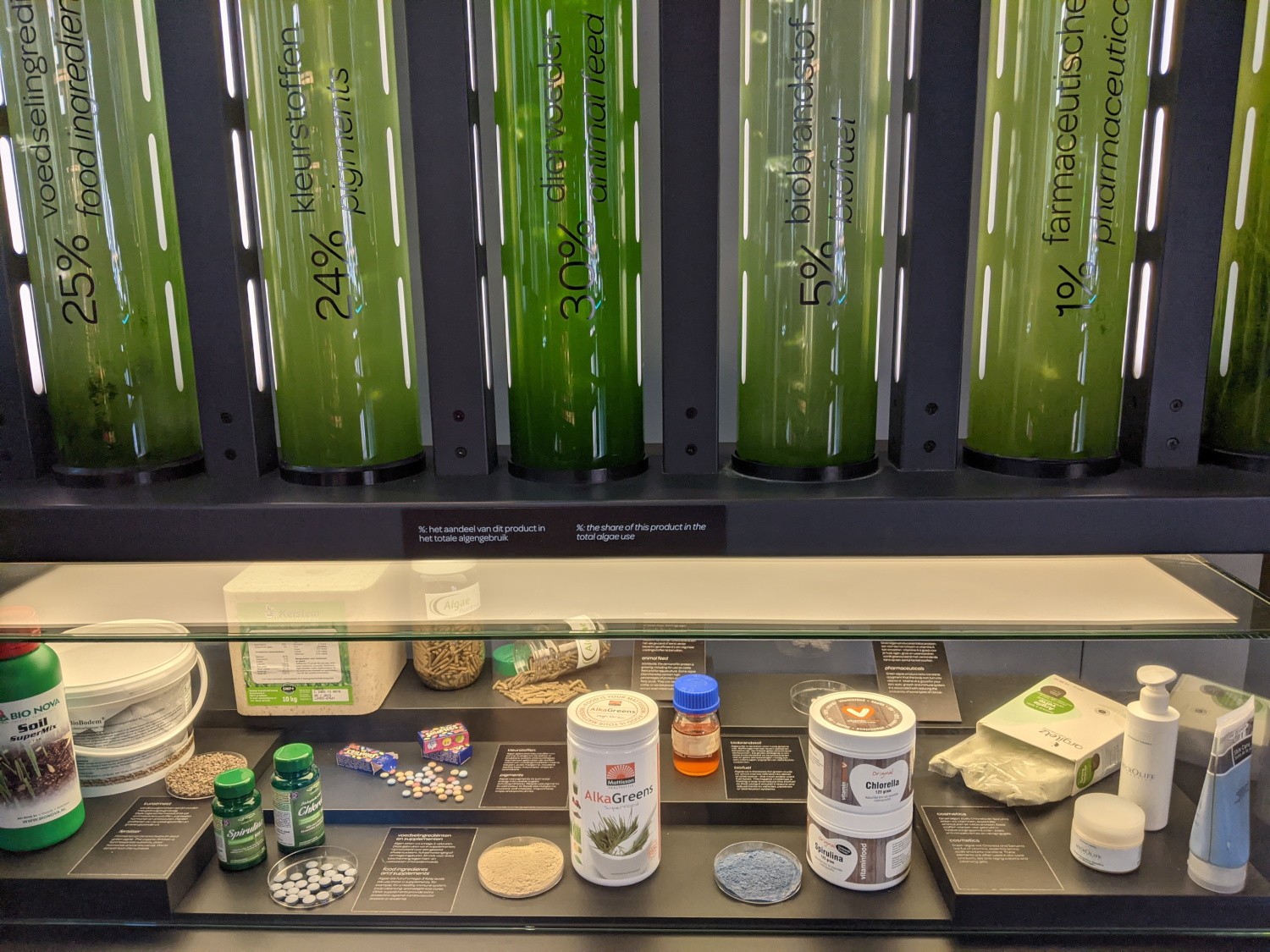 Examples of algae in various products