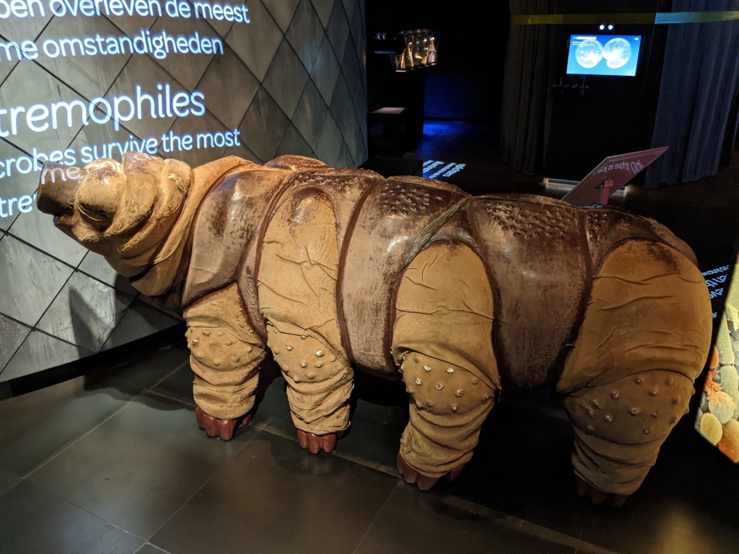 A giant tardigrade
